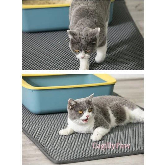 AquaMatte - Wasserdichter Streu - Schutz für Katzenpflege - CagillyPaw e.U.