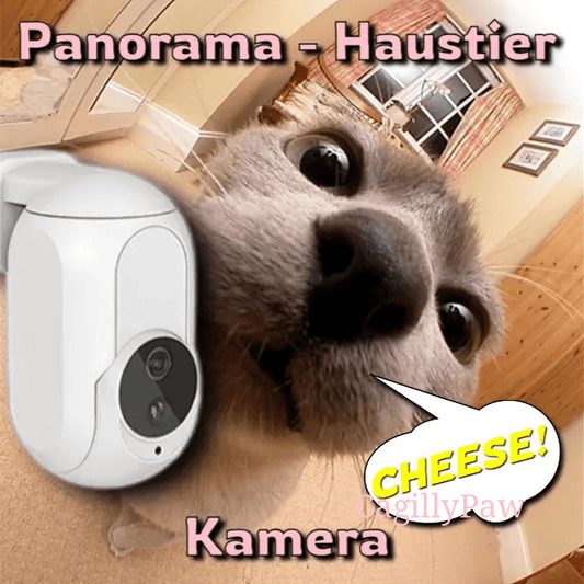 Panorama - Haustier Kamera kaufen – 360° Überwachung für Katzen - CagillyPaw e.U.