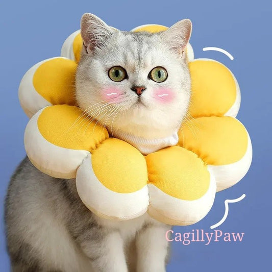 Biss - und LeckSchutz Halsband für Katzen im Blumendesign - CagillyPaw e.U.