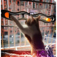 Bild in Galerie-Betrachter laden, Fensterbank Katzenspielzeug Kaufen – Interaktiver Spielspaß Für Ihre Katze - CagillyPaw e.U.