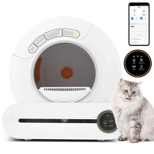 Automatisches Katzenklo Mit App - Steuerung Kaufen – Sauberkeit & Komfort Für Ihre Katze - CagillyPaw e.U.