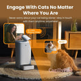 Bild in Galerie-Betrachter laden, Intelligente Multifunktionale Futterstation Mit Kamera Kaufen – Smarte Fütterung & Überwachung Für Ihre Katze - CagillyPaw e.U.