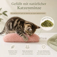 Bild in Galerie-Betrachter laden, Flauschige Katzen-Minz-Raupe kaufen – Spielspaß für Ihre Katze CagillyPaw e.U.