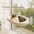 Bild in Galerie-Betrachter laden, Fenster Hängematte Für Katzen Weiches Katzenbett Mit Saugnäpfen Und Edelstahlrahmen CagillyPaw e.U.