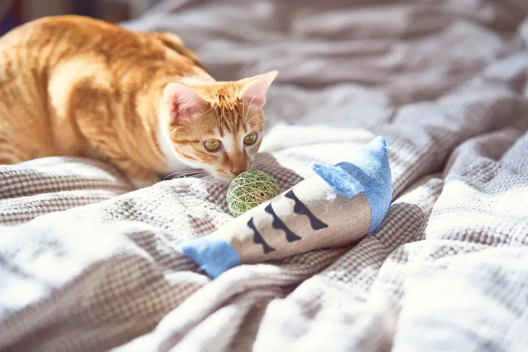Katzenspielzeuge für mehr Bewegung und Freude im Alltag