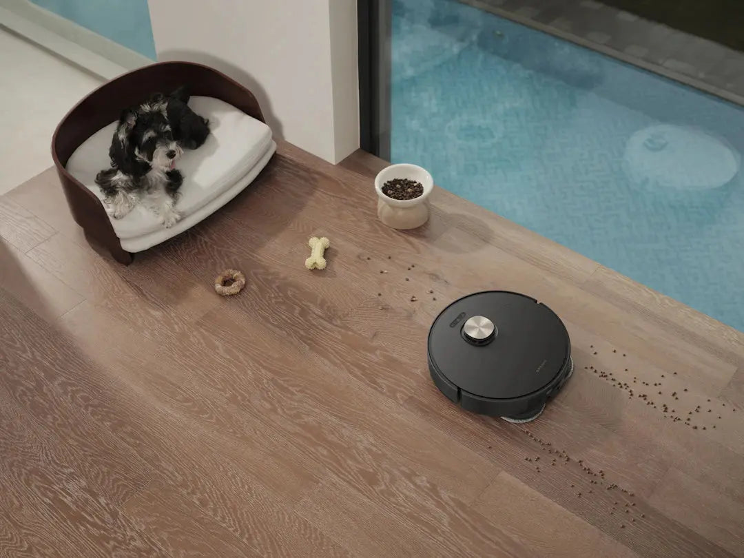 Effektive Reinigung für ein harmonisches Zuhause mit Katzen