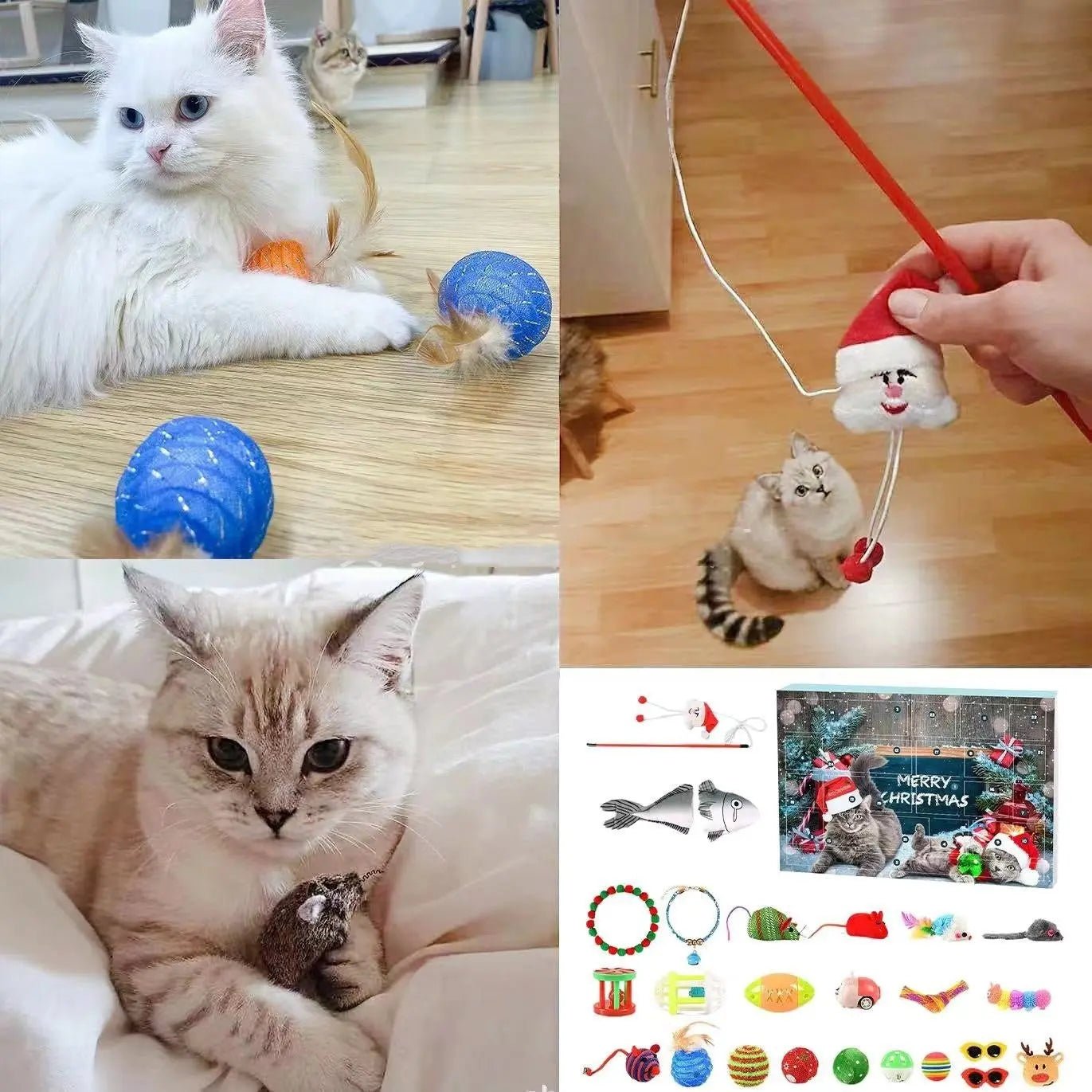 Katzen - Advents Kalender Weihnachten 2024 Für Spielspaß Zuhause - CagillyPaw e.U.