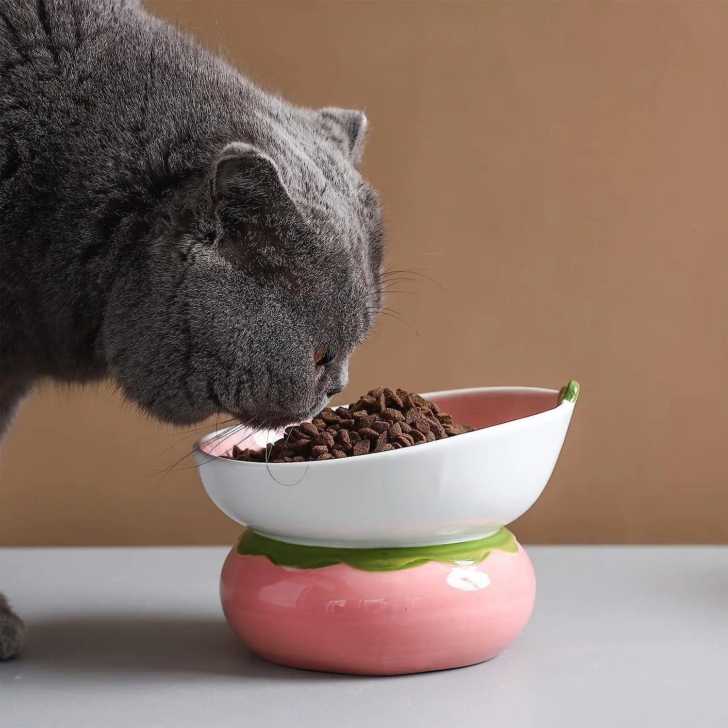 Sommer-Keramik-Katzenfressnapf Product vendor