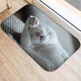 Bild in Galerie-Betrachter laden, Miau-Matte Product vendor
