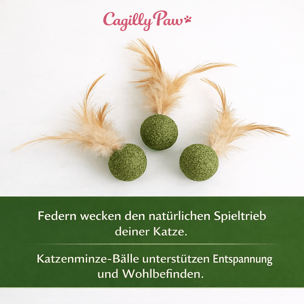 FederMinz Spielball – Katzenminze - Spielzeug mit Federn - CagillyPaw e.U.