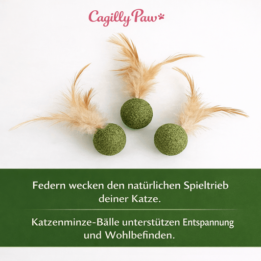 FederMinz Spielball – Katzenminze - Spielzeug mit Federn - CagillyPaw e.U.