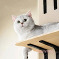 Bild in Galerie-Betrachter laden, Katzen Hochsitz Product vendor
