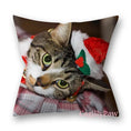 Bild in Galerie-Betrachter laden, Pelziger Weihnachtsbezug Für Katzen Und Hunde Mit Stil - CagillyPaw e.U.
