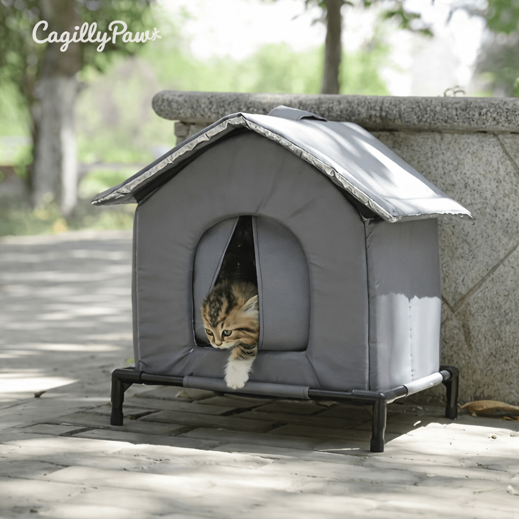Outdoor - Katzenhaus isoliert & wasserdicht – Winterfestes Katzenhaus mit Standfüßen - CagillyPaw e.U.