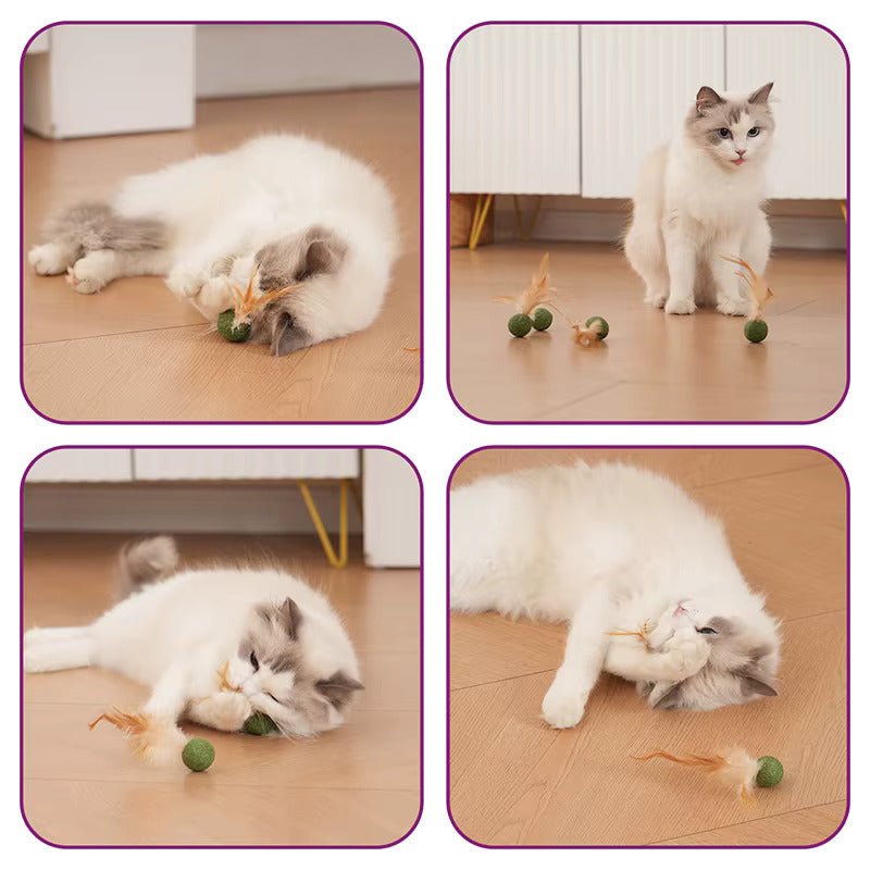 FederMinz Spielball – Katzenminze - Spielzeug mit Federn - CagillyPaw e.U.