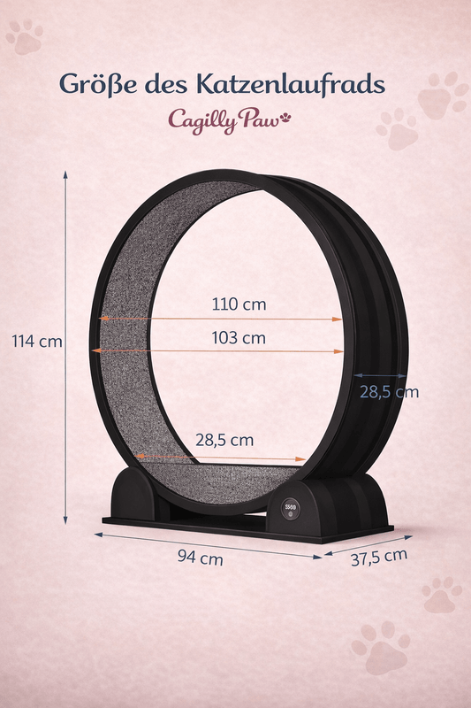 CagillyPaw® Premium Katzenlaufrad aus ABS – Leise, Stabil & Gelenkschonend - CagillyPaw e.U.