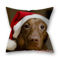 Bild in Galerie-Betrachter laden, Pelziger Weihnachtsbezug Für Katzen Und Hunde Mit Stil - CagillyPaw e.U.
