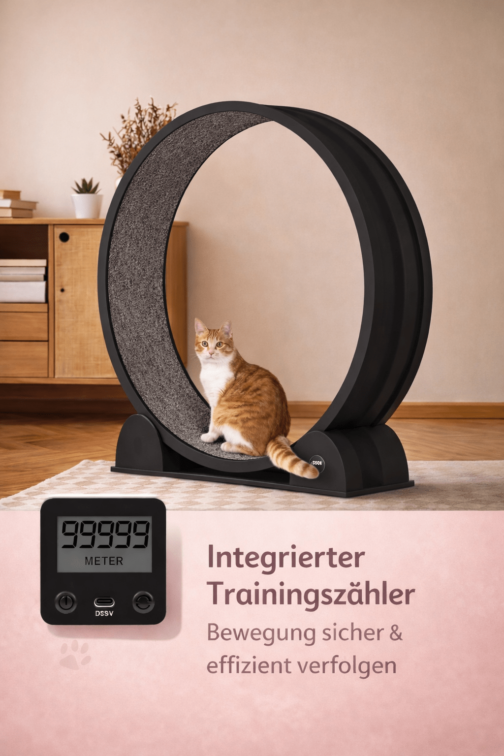CagillyPaw® Premium Katzenlaufrad aus ABS – Leise, Stabil & Gelenkschonend - CagillyPaw e.U.
