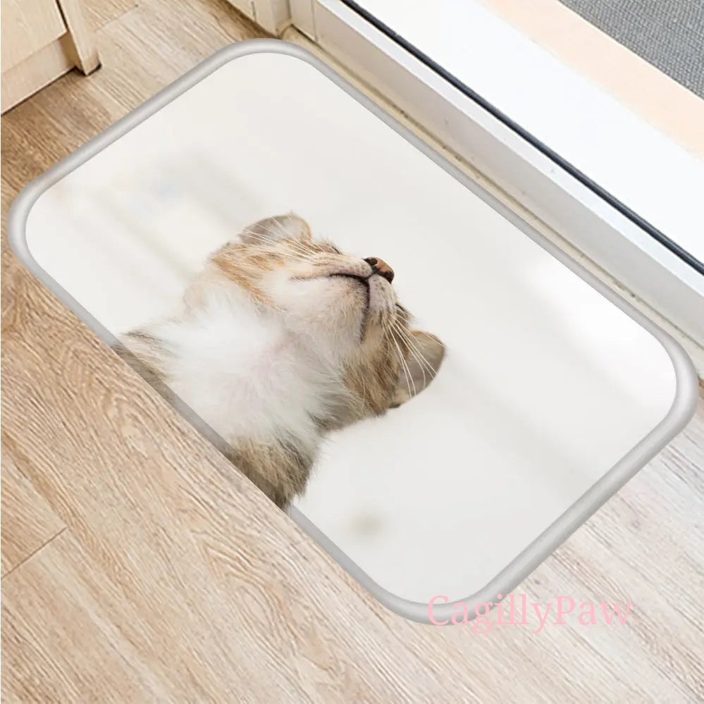 Miau-Matte Product vendor