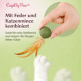 Bild in Galerie-Betrachter laden, FederMinz Spielball – Katzenminze - Spielzeug mit Federn - CagillyPaw e.U.
