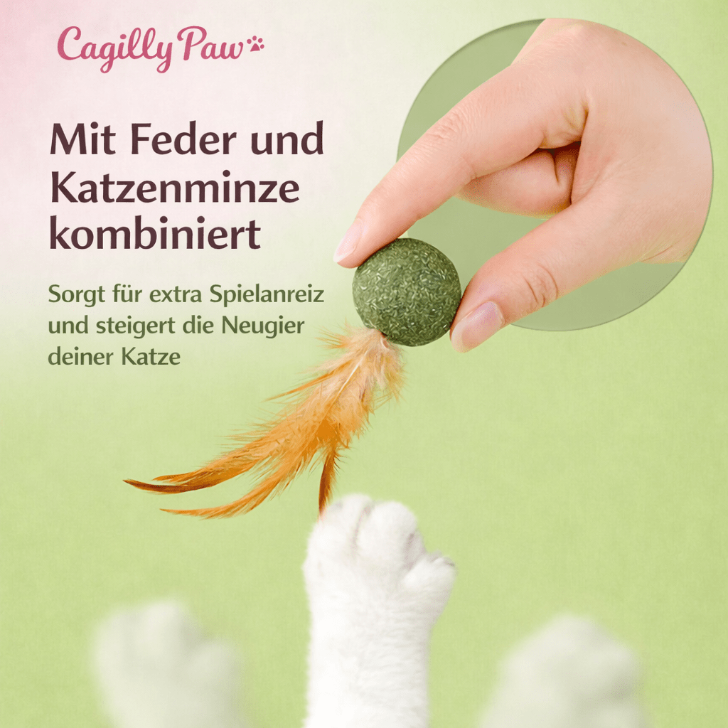 FederMinz Spielball – Katzenminze - Spielzeug mit Federn - CagillyPaw e.U.