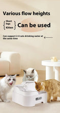 Bild in Galerie-Betrachter laden, Katzen-Trinkstation Product vendor
