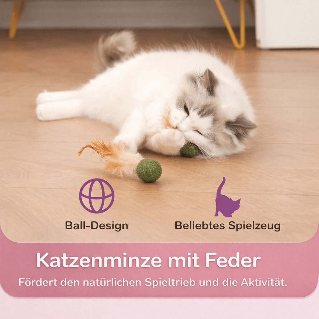 FederMinz Spielball – Katzenminze - Spielzeug mit Federn - CagillyPaw e.U.