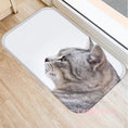 Bild in Galerie-Betrachter laden, Miau-Matte Product vendor
