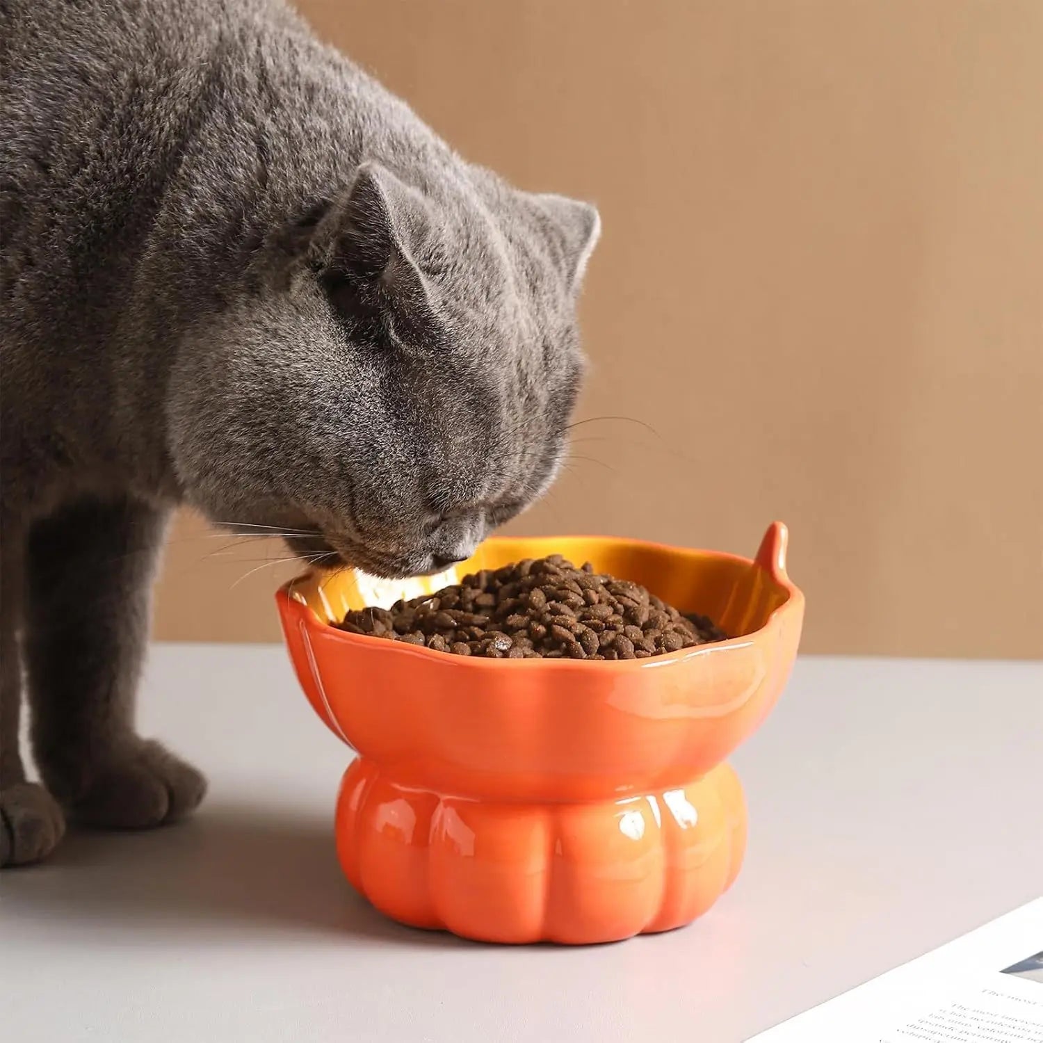 Sommer-Keramik-Katzenfressnapf Product vendor