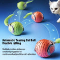 Bild in Galerie-Betrachter laden, TurboBall – Selbstfahrender Katzen-Spielball mit USB-Aufladung Product vendor
