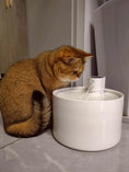 Bild in Galerie-Betrachter laden, Keramik Trinkbrunnen für Katzen – kabellos, leise & hygienisch - CagillyPaw e.U.
