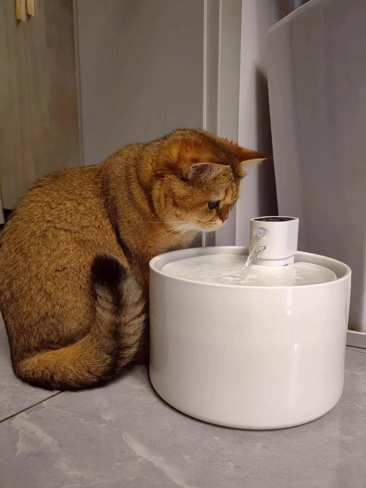 Keramik Trinkbrunnen für Katzen – kabellos, leise & hygienisch - CagillyPaw e.U.