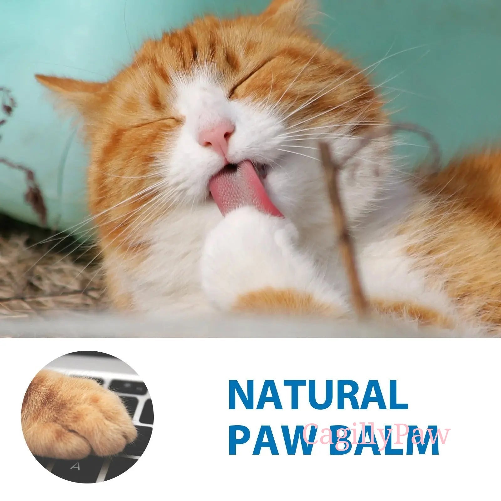 Pfoten-Balsam Product vendor