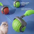 Bild in Galerie-Betrachter laden, TurboBall – Selbstfahrender Katzen-Spielball mit USB-Aufladung Product vendor
