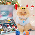 Bild in Galerie-Betrachter laden, Katzen - Advents Kalender Weihnachten 2024 Für Spielspaß Zuhause - CagillyPaw e.U.

