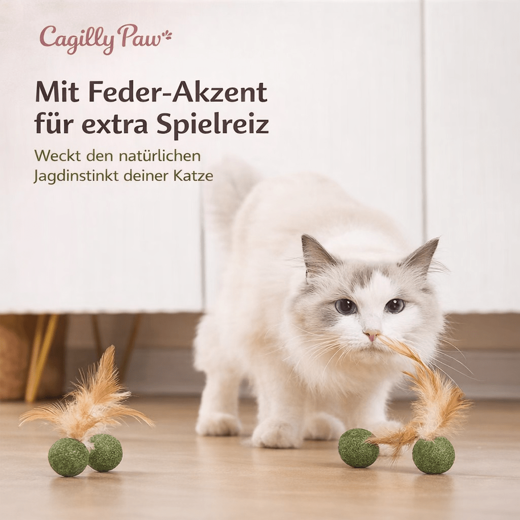 FederMinz Spielball – Katzenminze - Spielzeug mit Federn - CagillyPaw e.U.