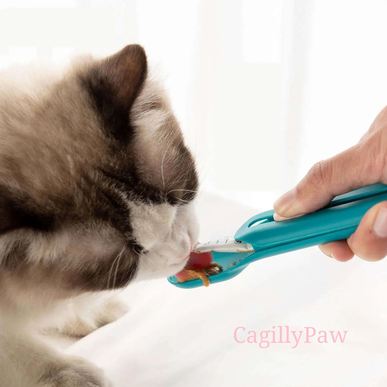 Buy Now Cat Snack Dispenser Online