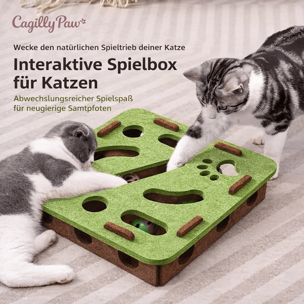 Katzen Intelligenzspielzeug aus Filz – Interaktive Spielbox mit Bällen - CagillyPaw e.U.