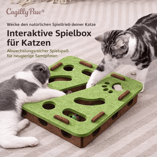 Katzen Intelligenzspielzeug aus Filz – Interaktive Spielbox mit Bällen - CagillyPaw e.U.