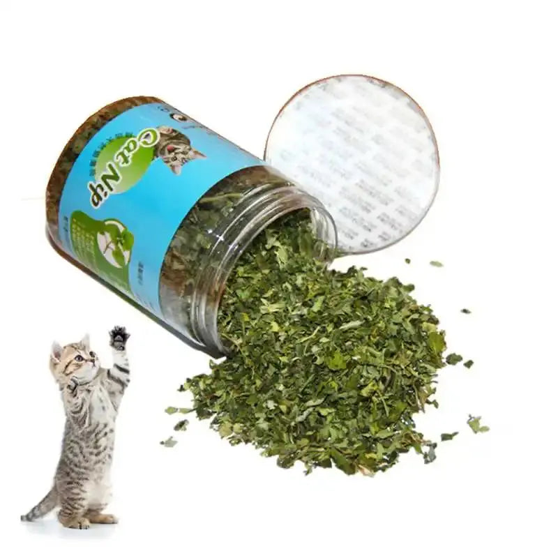 Katzenminze Hochdosiert – 100 % Natürlich und Langanhaltend Product vendor
