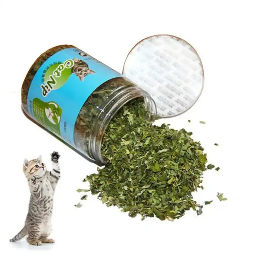 Katzenminze Hochdosiert – 100 % Natürlich und Langanhaltend Product vendor