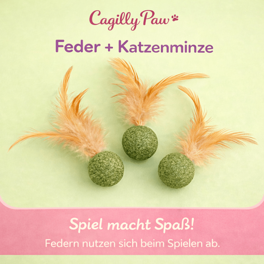 FederMinz Spielball – Katzenminze - Spielzeug mit Federn - CagillyPaw e.U.