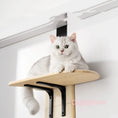 Bild in Galerie-Betrachter laden, Katzen Hochsitz Product vendor
