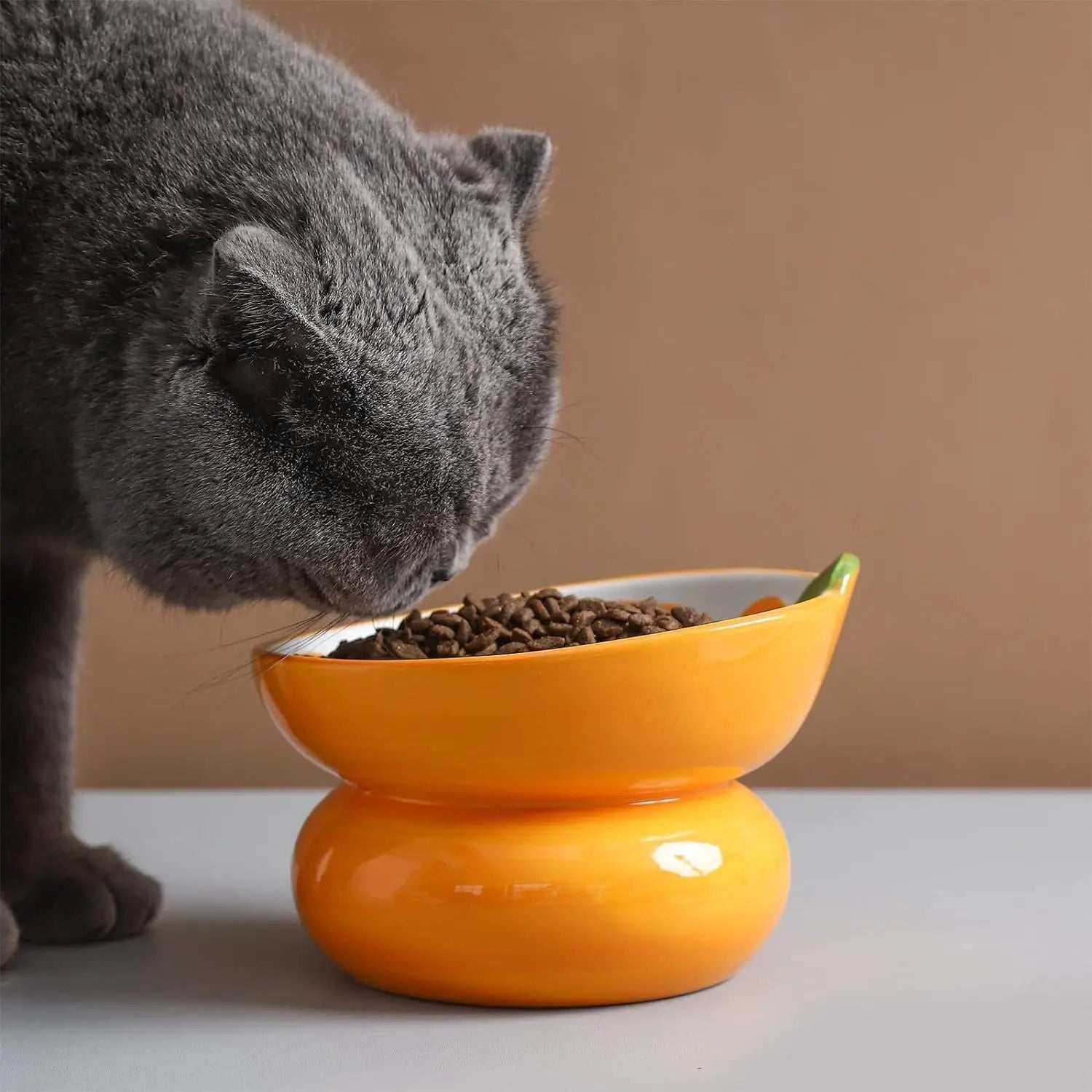 Sommer-Keramik-Katzenfressnapf Product vendor