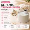 Bild in Galerie-Betrachter laden, Keramik Trinkbrunnen für Katzen – kabellos, leise & hygienisch - CagillyPaw e.U.
