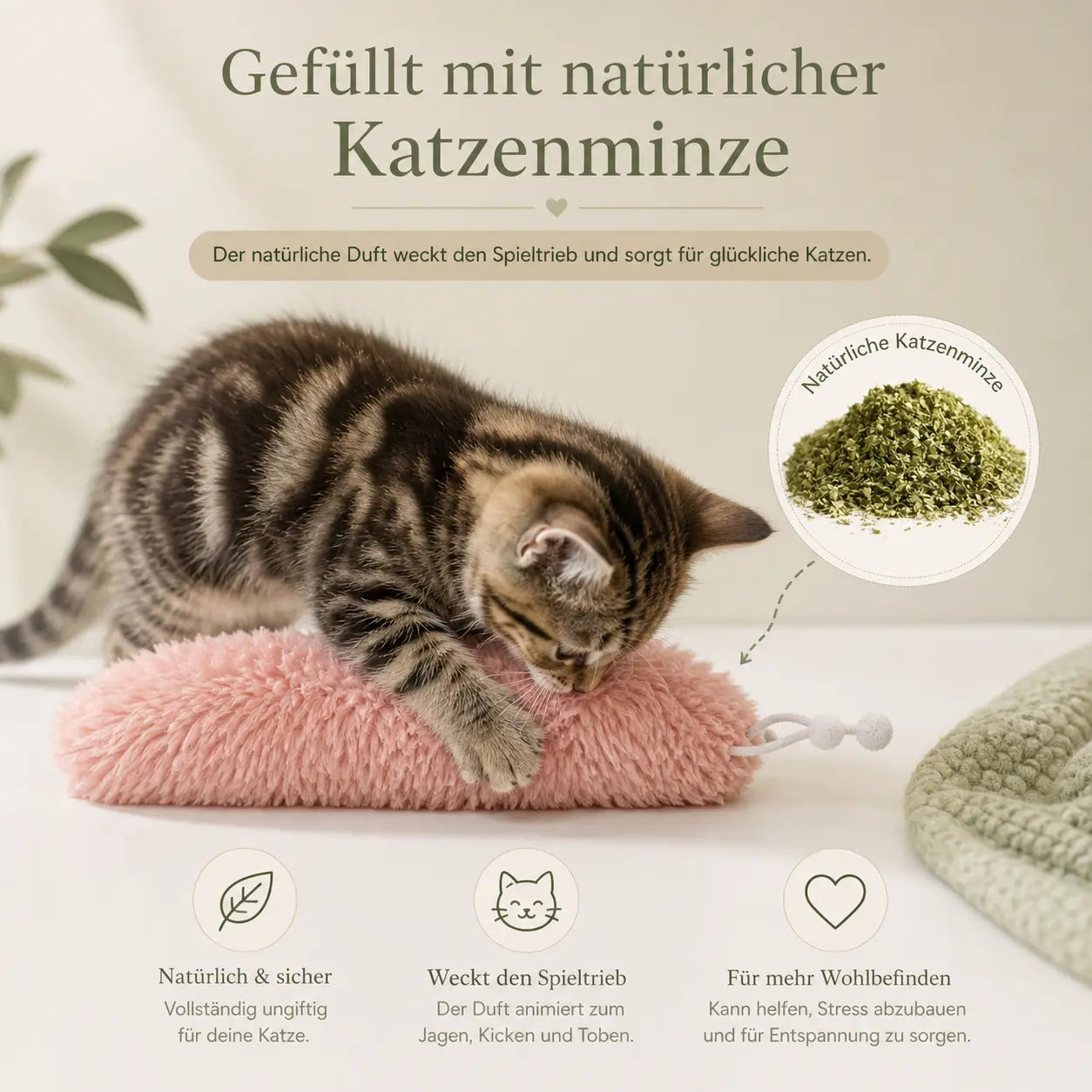 Flauschige Katzen-Minz-Raupe kaufen – Spielspaß für Ihre Katze CagillyPaw e.U.