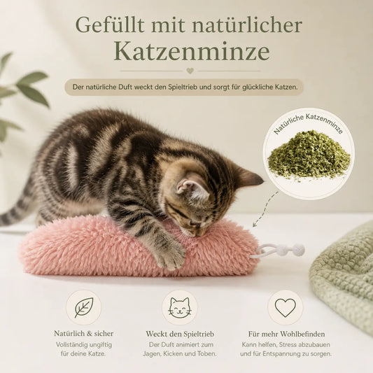 Flauschige Katzen-Minz-Raupe kaufen – Spielspaß für Ihre Katze CagillyPaw e.U.