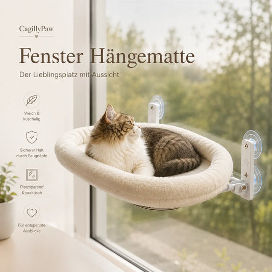 Fenster Hängematte Für Katzen Weiches Katzenbett Mit Saugnäpfen Und Edelstahlrahmen CagillyPaw e.U.