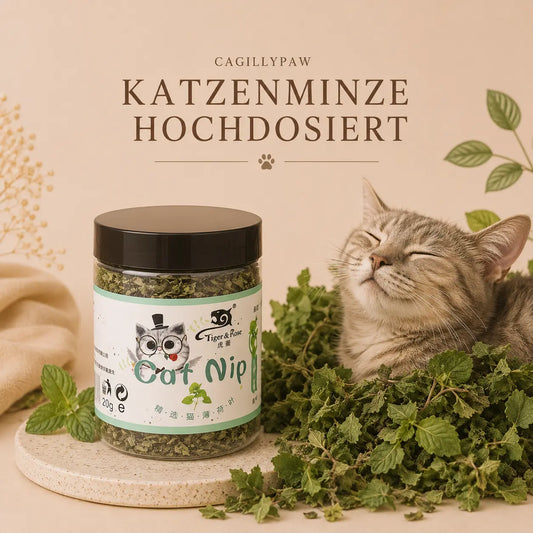 Katzenminze Hochdosiert Kaufen – 100 % Natürlich & Langanhaltend CagillyPaw e.U.