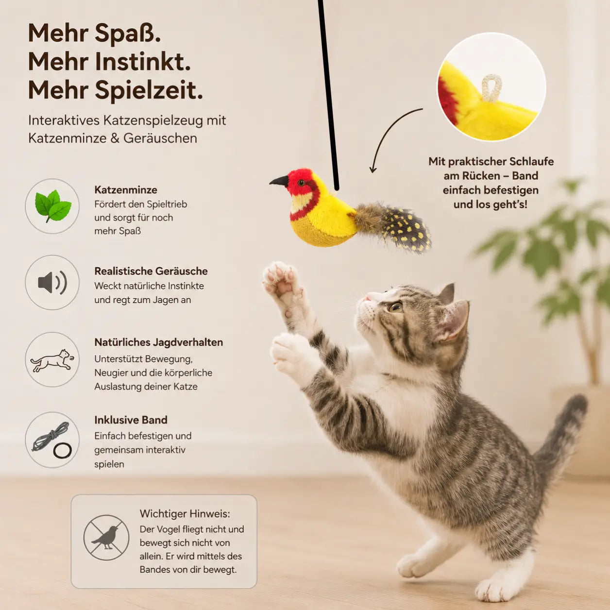 Vogel-Katzenspielzeug kaufen – mit realistischer Beute-Simulation CagillyPaw e.U.